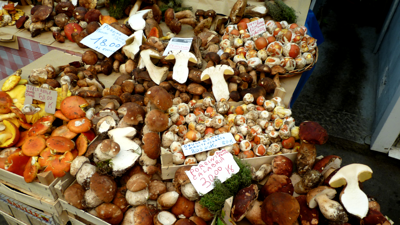 : In Deutschland ist das Sammeln des seltenen Pilzes verboten, in Italien kommt der Kaiserling in guten Pilzjahren auf den Markt. Besonders begehrt sind noch geschlossene Exemplare: "Ovuli reale", die „königlichen Eier“. Foto: Günter Matzke-Hajek.