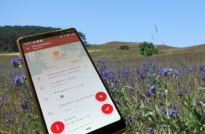 Die neue App von Flora-SH erleichtert das Kartieren im Gelände. Foto: RLZ